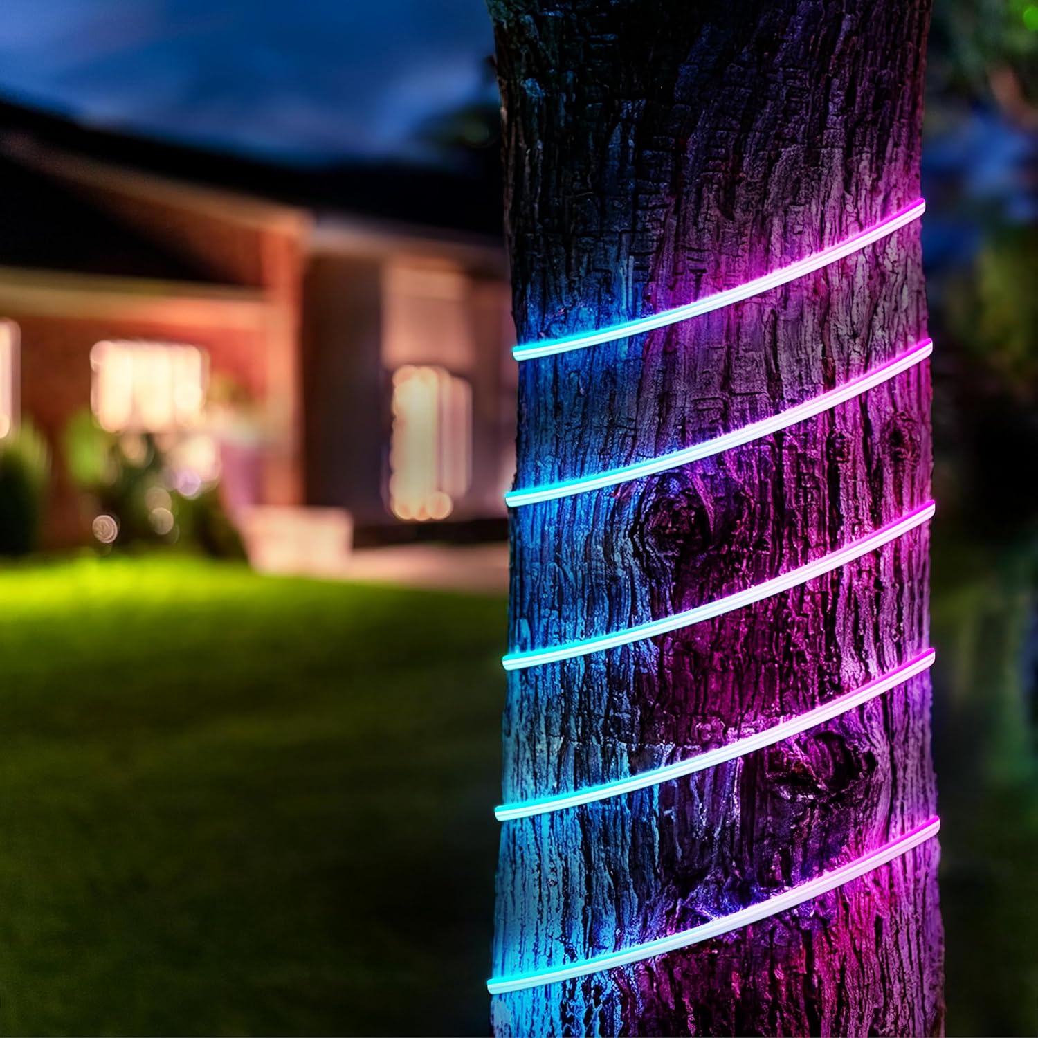 Outdoor Neon Flex Light,