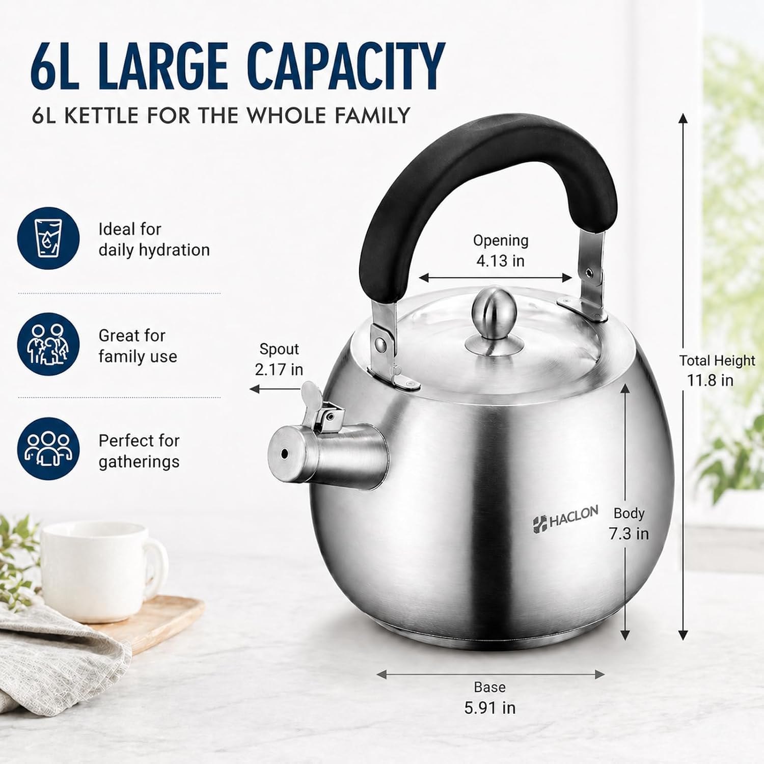 Large Stainless Steel Tea Kettle 6.3 QT