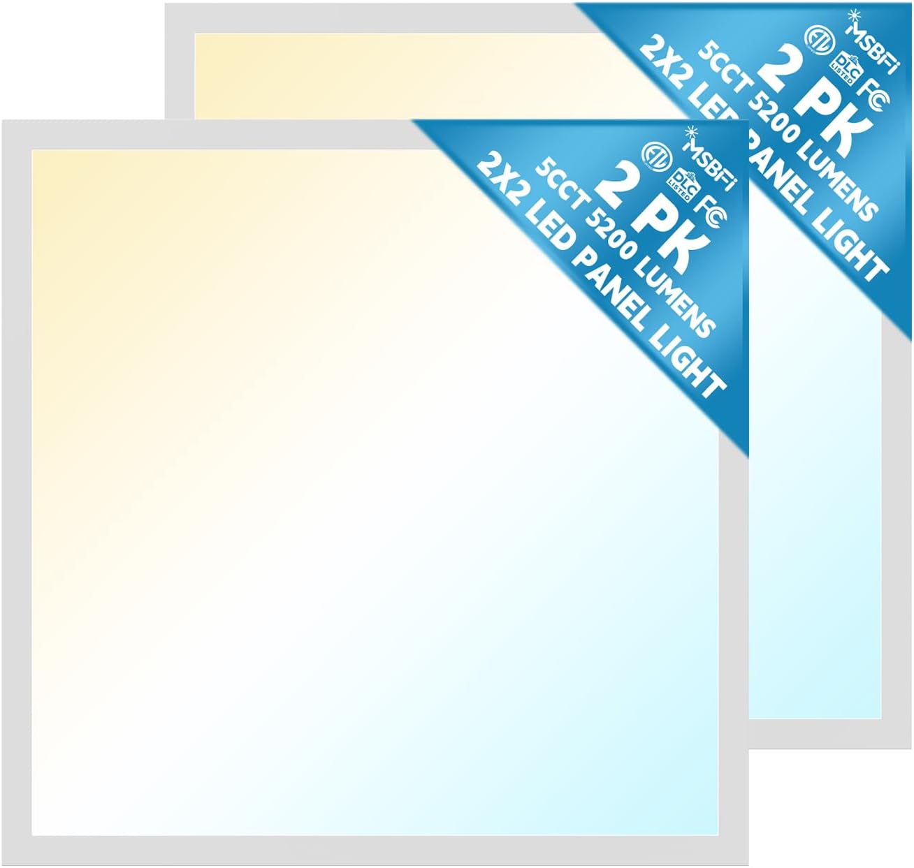 2 pack 2x2 LED Flat Panel Light