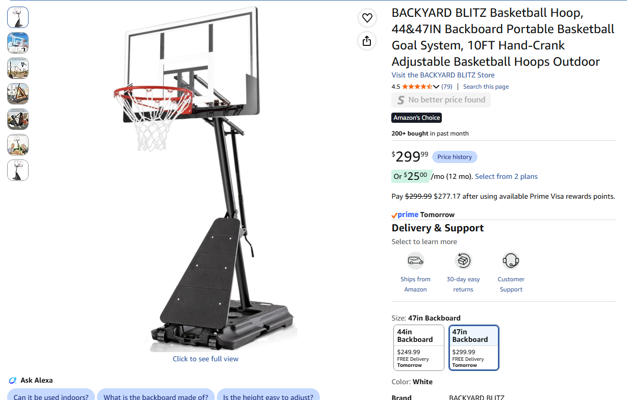Basketball Hoop Full size,