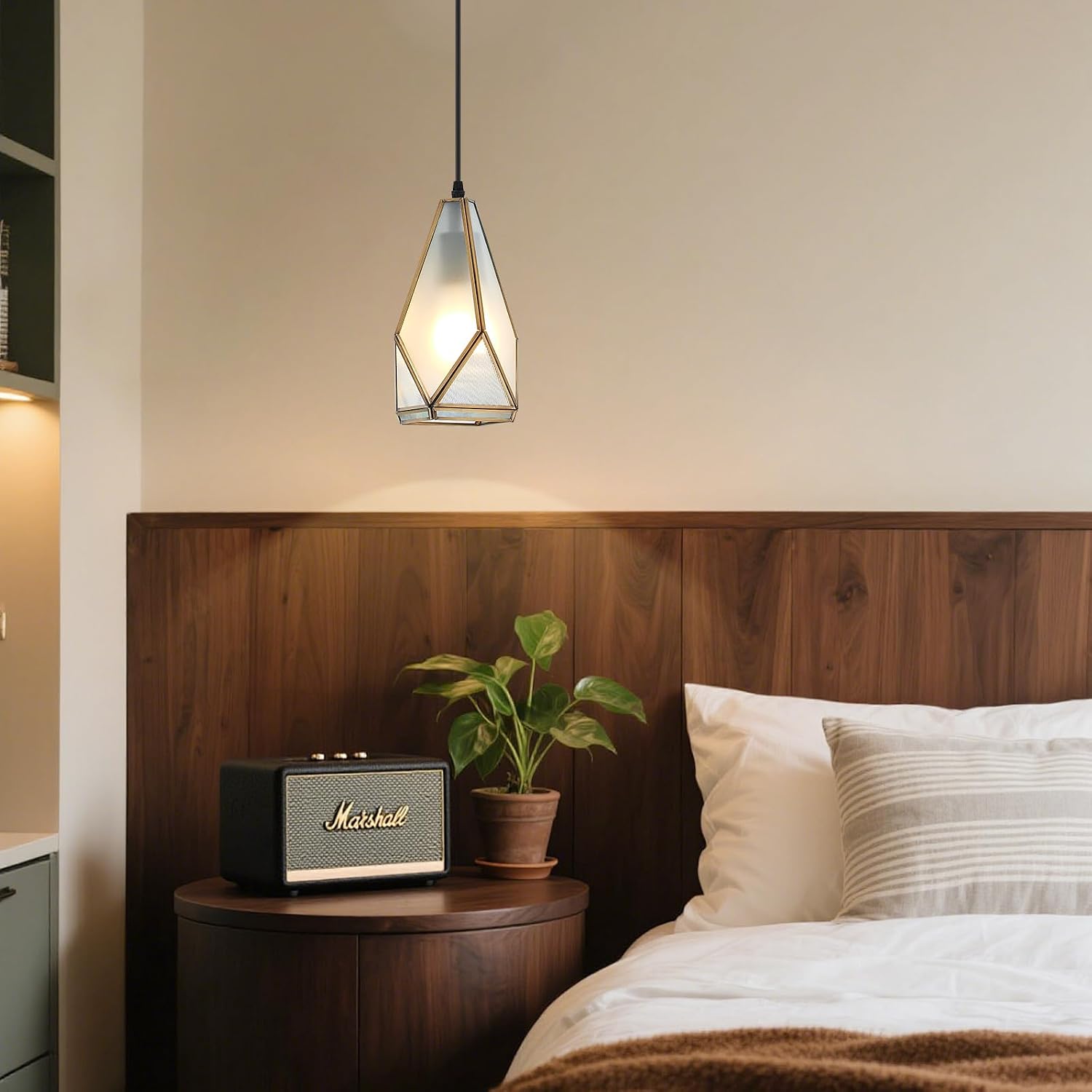 Unique Glass Pendant Light
