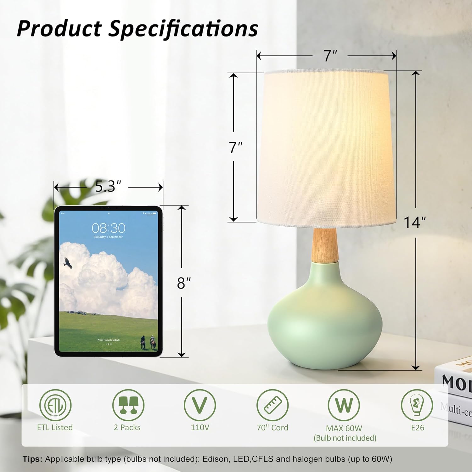 Ceramic Table Lamps Set of 2